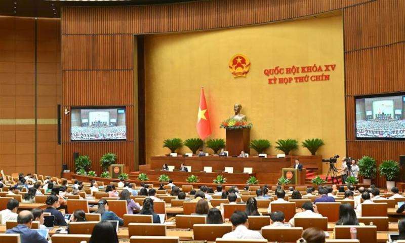 Kien hang dang duoc bo boc can than chuan bi gui xe Phuong Trang Da Nang
