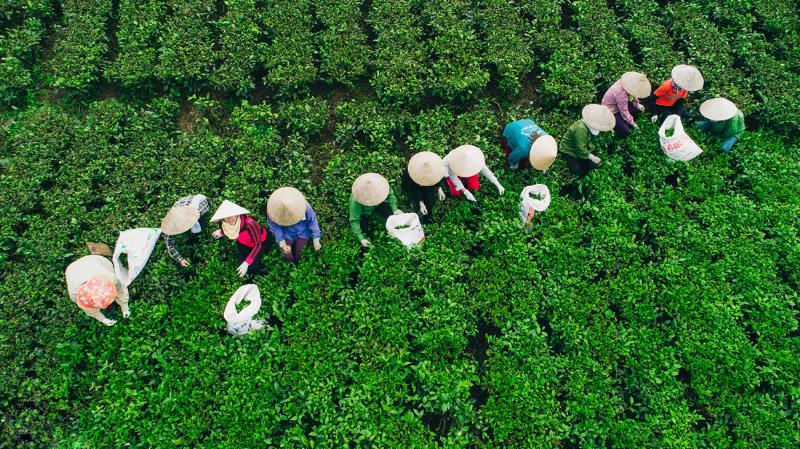 Thời gian di chuyển từ Hà Nội đến Thái Nguyên