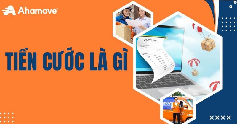 Hình ảnh minh họa các yếu tố ảnh hưởng đến giá gửi hàng xe Phương Trang, ví dụ như kích thước, trọng lượng, quãng đường, loại hàng.