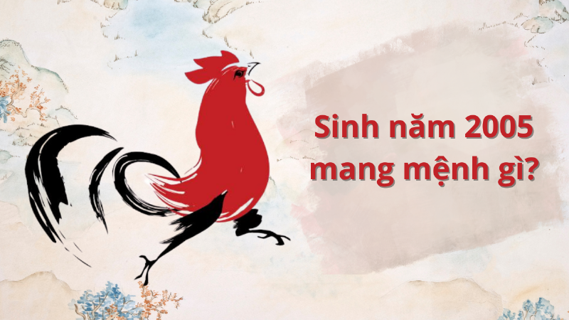 Cách hóa giải xung khắc tuổi cho người sinh năm 2005 và bạn đời trong hôn nhân tử vi