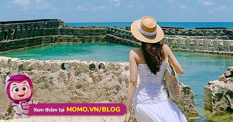 Kinh nghiệm đi xe Phương Trang Sóng Phú thuận lợi và an toàn từ cách đặt vé đến lên xe.